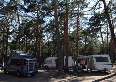 acampar-camping-bosque