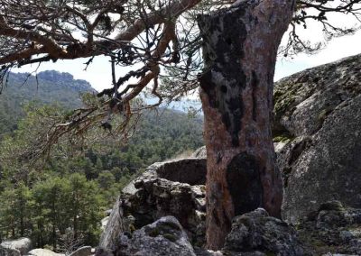 11.-TRINCHERA2-REDUCIDA