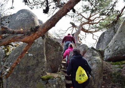 17.-ESCALETRA-TRINCHERAS-REDUCIDAS