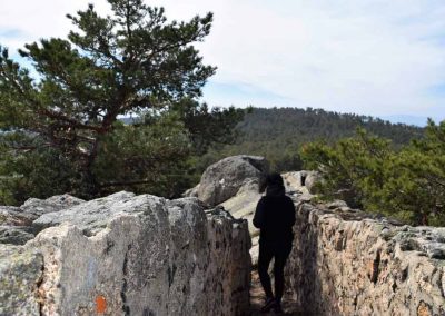 20.-VOLVEMOS-REDUCIDA