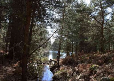 7.-VISTA-SUPERIOR-PRESA-REDUCIDA