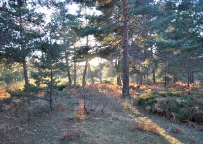 CaminoCuevaValiente1