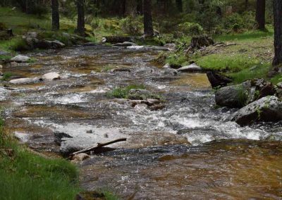 Sendero Los Lagunazos