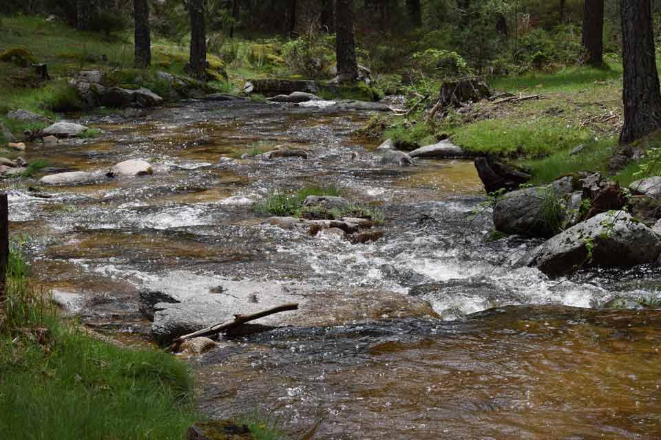 Sendero Los Lagunazos