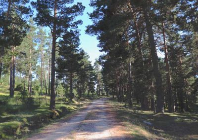 CaminoLosLagunazosRetorno1