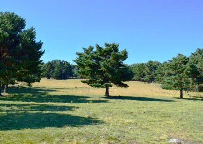 LosLagunazosPraderas1