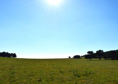 LosLagunazosPraderas2