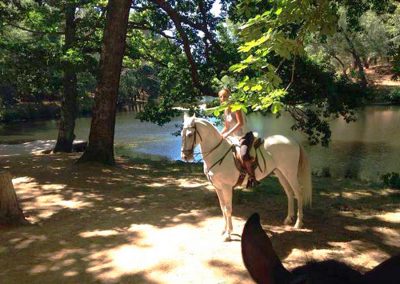 Paseos a caballo