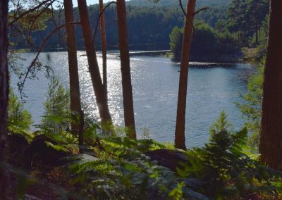 PresaPeguerinosRetorno