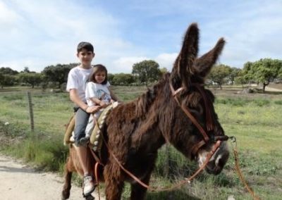 Paseos en burro