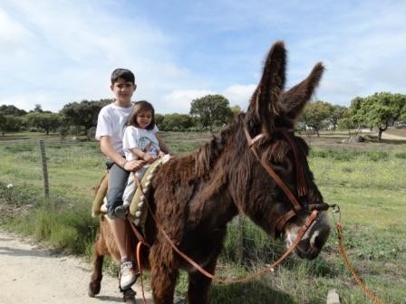 Paseos en burro