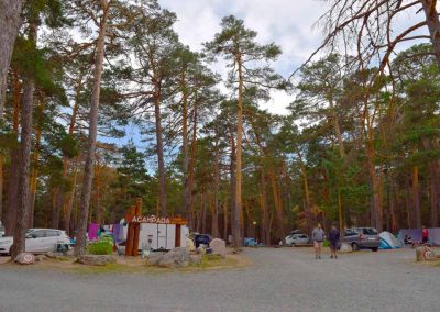 Aloj_Acampada_DePaseo