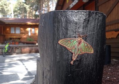 MariposaEnCamping