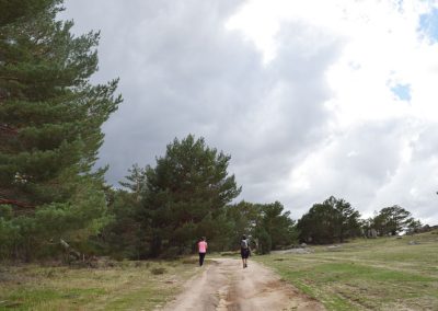 SenderistasHaciaMariposa