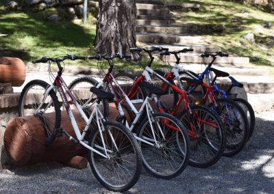 bicicletavalleenmedio