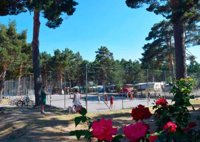 deportesvalleenmedio